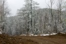 Снег на перевале