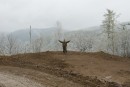 Радость от достигнутого