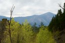 Вид на Сихотэ-Алинь с перевала.