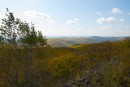 Сопки возле долины реки Уссури