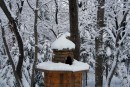 Кормушка