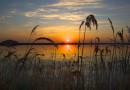 Озеро в камышах. Раннее утро. Восход