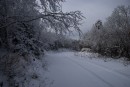 Дорога