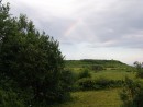 Сенокос