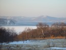 Сквозь лес
