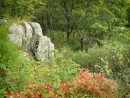 Полуостров Гамова.