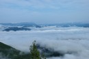Пелена