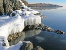 Полуостров Брюса, Халдой
