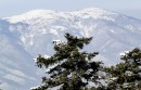 Хребет Воробей, вид с Фалазы.