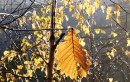 Солнечное утро после дождя.