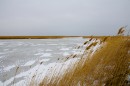 Хасанские болота зимой