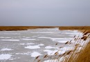Замёрзшие протоки на болотах