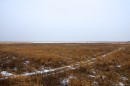 Зимние болота
