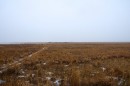 Зимние болота
