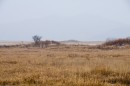 Холмы на зимних болотах