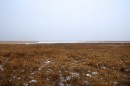 Болота и замёрзшие протоки.