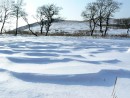 На полуострове Брюса