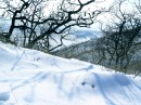 На горе Янковского