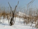 В окрестностях Славянки.