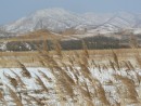 Гора Янковского