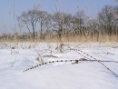 На полуострове Брюса