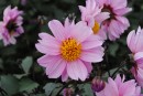 Фото 32102