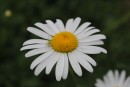 Фото 32104