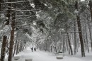 Океанский санаторий