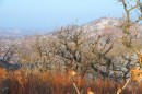Отроги хребтов возле мыса Льва