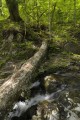Кравцовские водопады
