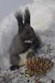 Океанский санаторий