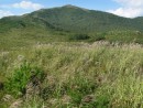 Гора Туманная 508 м. Полуостров Гамова.
