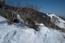 Сугробы с кустами