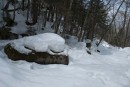 Снежная шапулька
