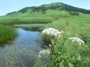 Пруд у подножия Генеральской сопки.