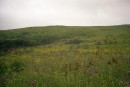 Мыс Шульца