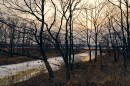 Устье реки Воеводихи.