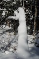 Норка замерзла. Шкотовское плато. Шкотовский район.