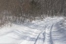 Калея. Шкотовское плато. Шкотовский район.