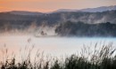 Карасье утречком