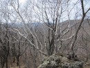 вид в сторону Амурского залива
