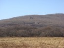 Пластун