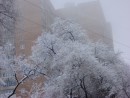 город зимой