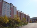 Некоторые виды в городе