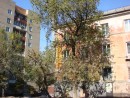 Некоторые виды в городе (мыс Чуркин)