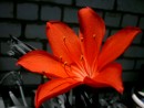 Фото 39843