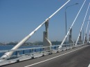 13.Ванты моста на остров Русский.