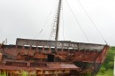 Саламандра