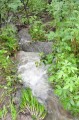 на б. Витязь, после тайфуна все ручьи превратились в водопады-мини
