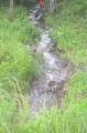 мыс Шульца